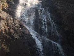 -东天目山风景区