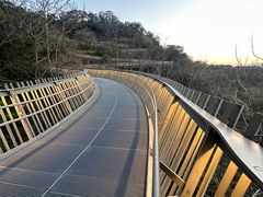 -福道