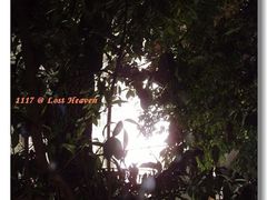 正在燃放烟花-花马天堂云南餐厅 Lost Heaven(高邮路店)