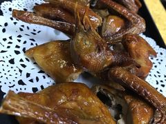 -鸽王世家(东华东路店)