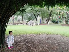 -汉水公园