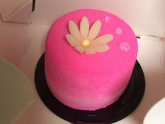 -Mei House 美梅西点·工作室(创智天地创智坊店)