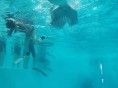 -上海潜殿潜水中心