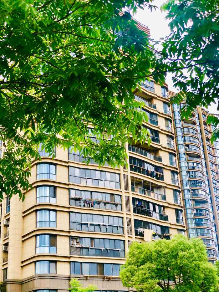 江南一品-"第一次来绍兴上虞区的江南一品从杭州南山.