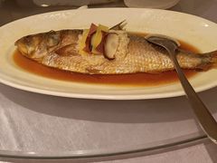 -宝燕壹号(徐汇店)