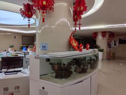 -北京和美妇儿医院