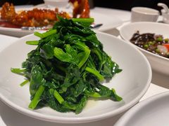 五粮液嫩豆苗-玫瑰厅上海菜(兴国路店)