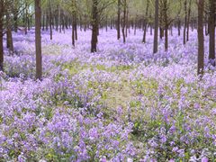 -瀛海足球主题公园