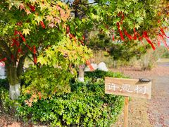 -太阳岛度假酒店