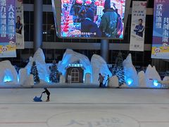 -冰上乐园(大卫城店)