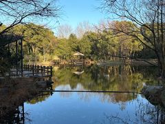 -上海滨江森林公园