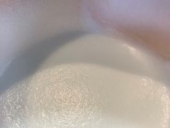 -猫里有甜