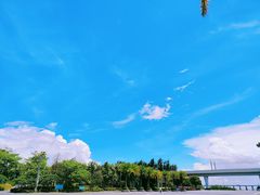 -宝安西湾红树林湿地公园