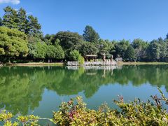 -蝴蝶泉公园