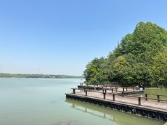 -上海海湾国家森林公园