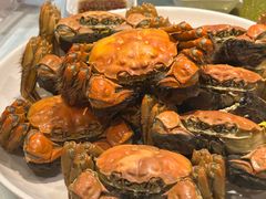 -老吉士酒家(天平路店)