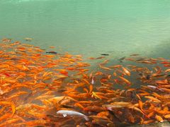 -楠溪江风景名胜区