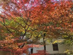 -狼山风景名胜区