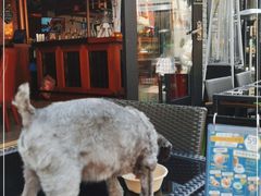 -Shanghai Brew House上海啤酒工坊(老外街店)