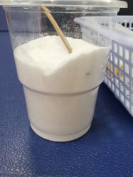 -深圳市妇幼保健院(红荔院区)