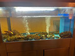 -Acqua海蓝意大利餐厅