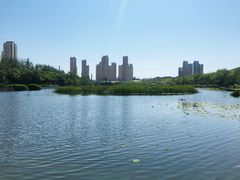 -前关湿地公园
