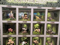 -芸山季·云南山珍菌火锅(南翔印象城MEGA店)
