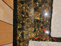 -邈墨茶馆(凤起路店)