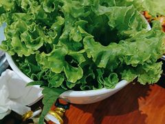 -鑫日千里马朝鲜族小馆(总店)