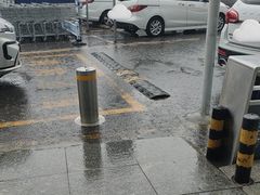 -山姆会员商店(亦庄创意生活广场店)