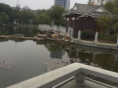 -孺子亭公园