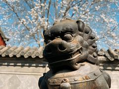 -大钟寺古钟博物馆