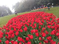 -保利石象湖景区