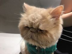 -小时光咖啡馆(开森度假森林店)