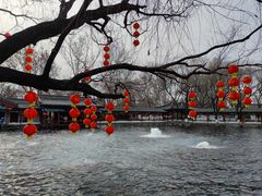 -百脉泉景区
