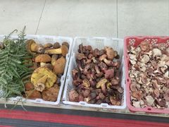 -双喜农庄·菌香园(安居家园店)