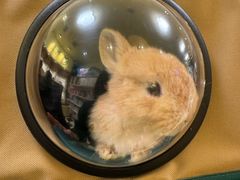 -龙猫仔乐园(惠福东路店)