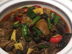 松茸烧牛肉-天成川菜馆(华乐店)