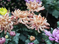 -共青国家森林公园-售票处