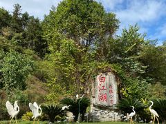 -广州白江湖森林公园