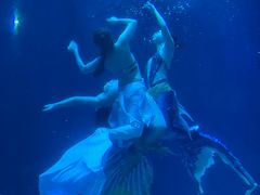 -海合安成都极地海洋公园