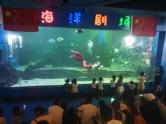 -石林冰雪海洋世界