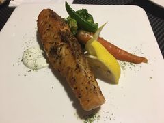 -百好乐宠物友好餐厅(朝外大街店)