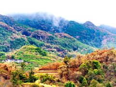 -缙云山景区