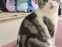 -谐和益家动物医院·免疫绝育·血液透析·宠保定点医院(高新伊藤分院)
