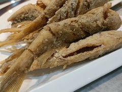 -宝发园名菜馆