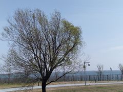 -南汇嘴观海公园