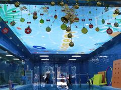 -蓝鲸奇亲子游泳俱乐部