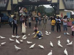 iphone_upload_pic-东部华侨城