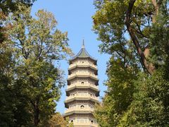 -灵谷景区